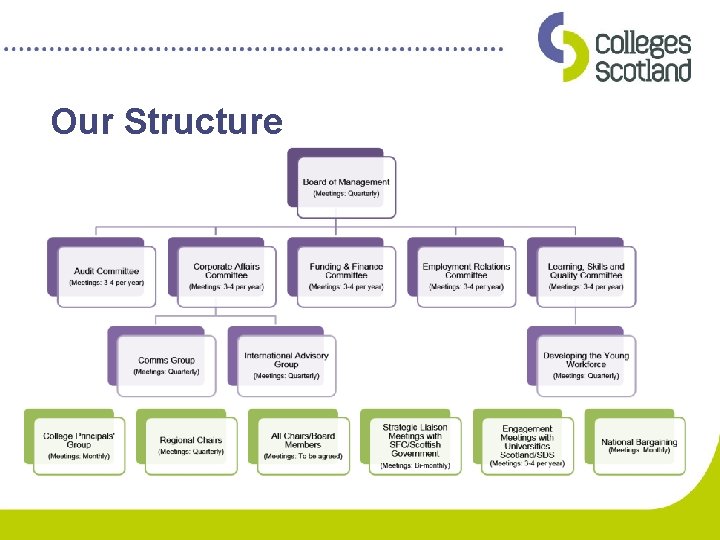 Our Structure 