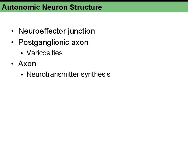 Autonomic Neuron Structure • Neuroeffector junction • Postganglionic axon • Varicosities • Axon • Autonomic Neuron Structure • Neuroeffector junction • Postganglionic axon • Varicosities • Axon •