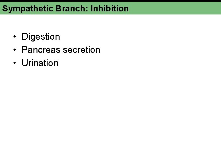 Sympathetic Branch: Inhibition • Digestion • Pancreas secretion • Urination Sympathetic Branch: Inhibition • Digestion • Pancreas secretion • Urination