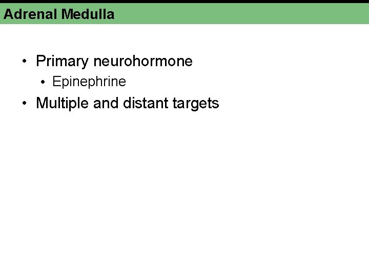Adrenal Medulla • Primary neurohormone • Epinephrine • Multiple and distant targets Adrenal Medulla • Primary neurohormone • Epinephrine • Multiple and distant targets