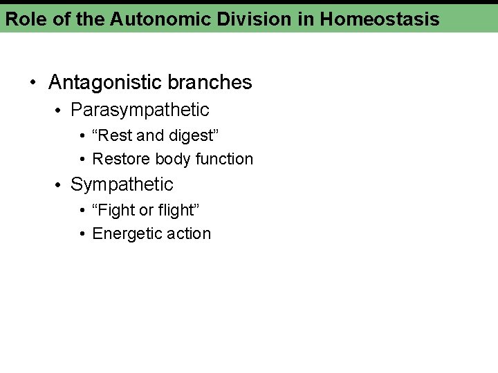 Role of the Autonomic Division in Homeostasis • Antagonistic branches • Parasympathetic • “Rest Role of the Autonomic Division in Homeostasis • Antagonistic branches • Parasympathetic • “Rest