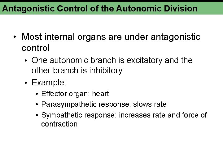 Antagonistic Control of the Autonomic Division • Most internal organs are under antagonistic control Antagonistic Control of the Autonomic Division • Most internal organs are under antagonistic control