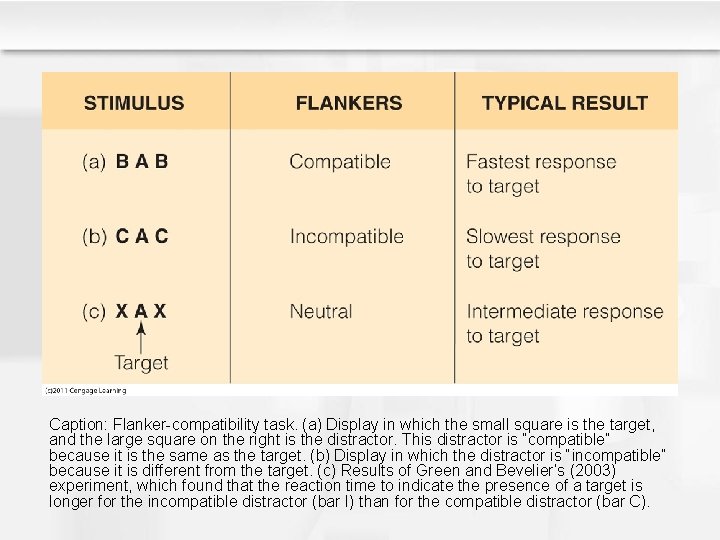 Caption: Flanker-compatibility task. (a) Display in which the small square is the target, and