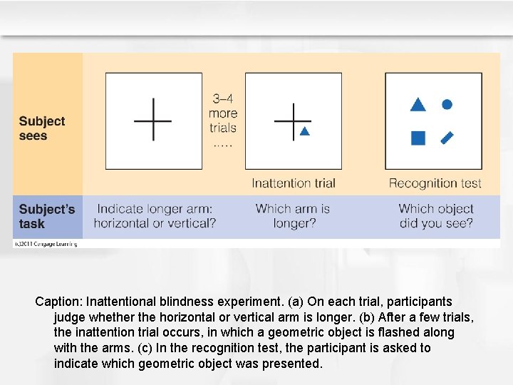 Caption: Inattentional blindness experiment. (a) On each trial, participants judge whether the horizontal or