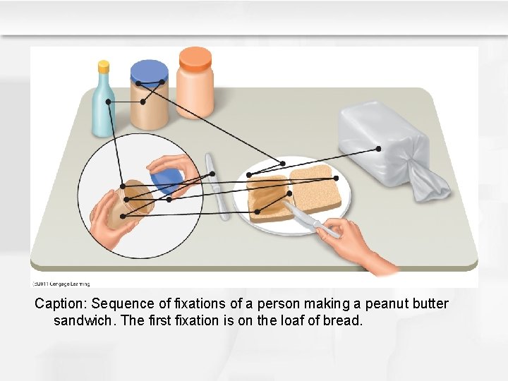 Caption: Sequence of fixations of a person making a peanut butter sandwich. The first