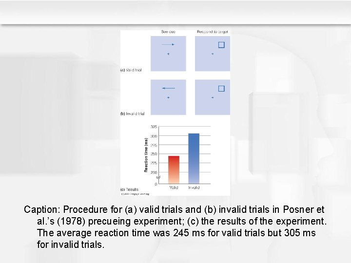 Caption: Procedure for (a) valid trials and (b) invalid trials in Posner et al.