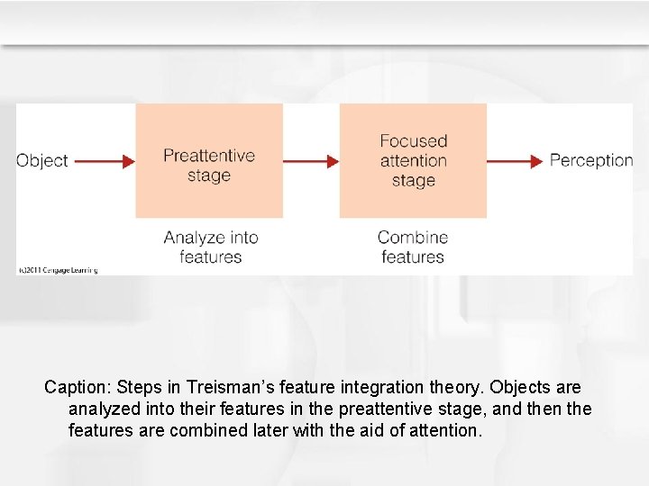Caption: Steps in Treisman’s feature integration theory. Objects are analyzed into their features in