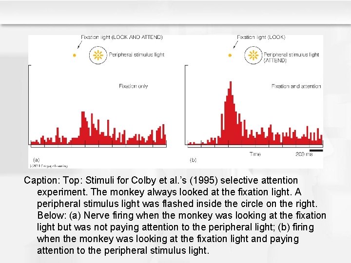 Caption: Top: Stimuli for Colby et al. ’s (1995) selective attention experiment. The monkey