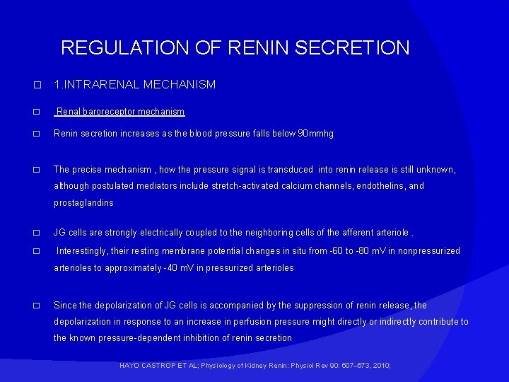 REGULATION OF RENIN SECRETION � � 1. INTRARENAL MECHANISM Renal baroreceptor mechanism � Renin