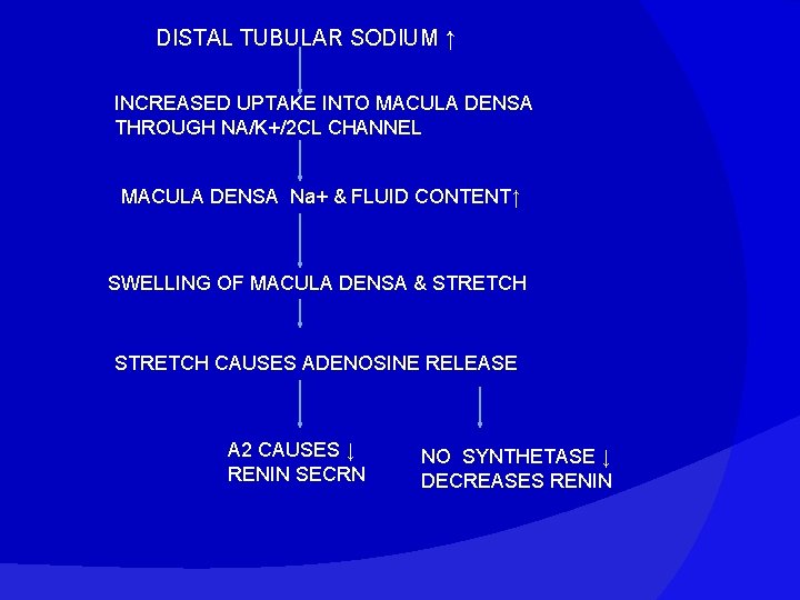 DISTAL TUBULAR SODIUM ↑ INCREASED UPTAKE INTO MACULA DENSA THROUGH NA/K+/2 CL CHANNEL MACULA