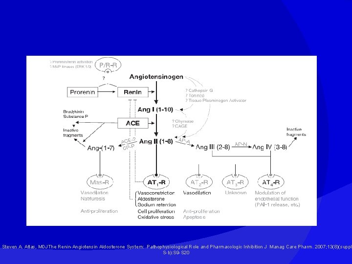 Steven A. Atlas, MDJThe Renin-Angiotensin Aldosterone System: Pathophysiological Role and Pharmacologic Inhibition J Manag