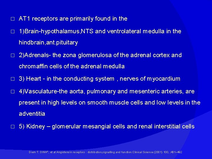 � AT 1 receptors are primarily found in the � 1)Brain-hypothalamus, NTS and ventrolateral