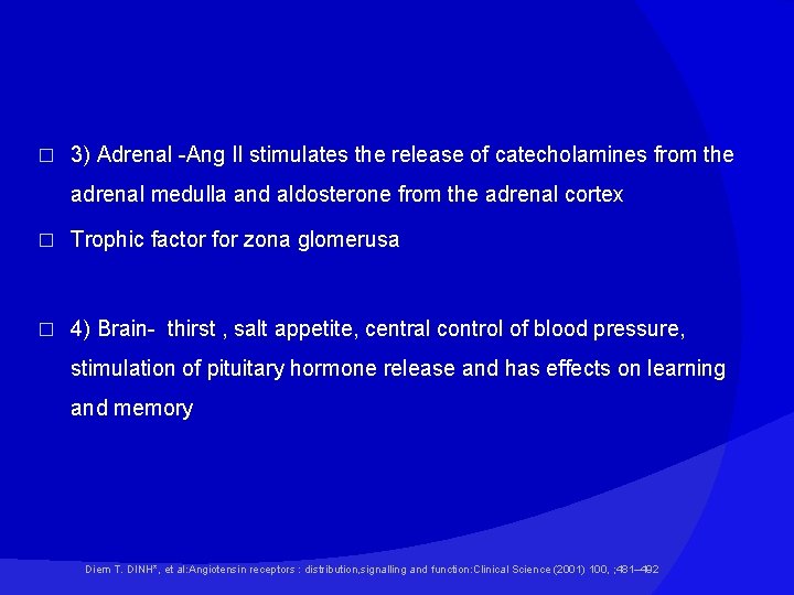 � 3) Adrenal -Ang II stimulates the release of catecholamines from the adrenal medulla