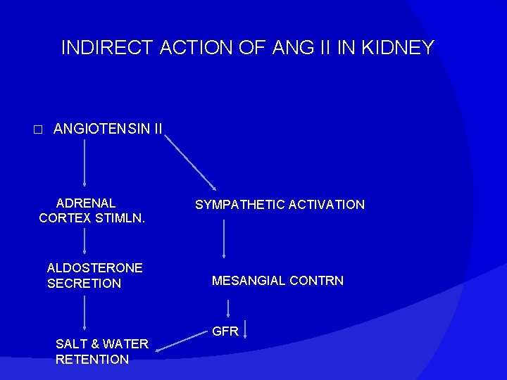 INDIRECT ACTION OF ANG II IN KIDNEY � ANGIOTENSIN II ADRENAL CORTEX STIMLN. SYMPATHETIC