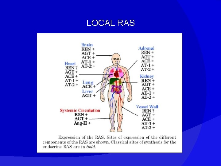 LOCAL RAS 