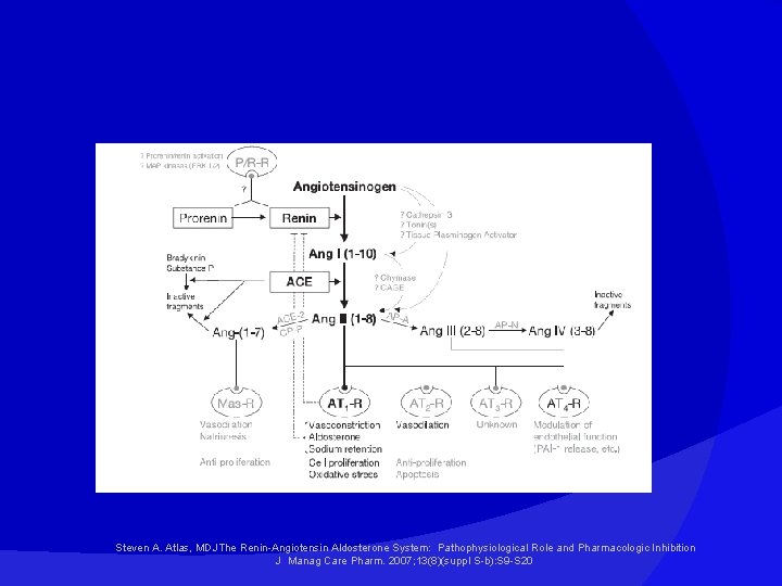 Steven A. Atlas, MDJThe Renin-Angiotensin Aldosterone System: Pathophysiological Role and Pharmacologic Inhibition J Manag