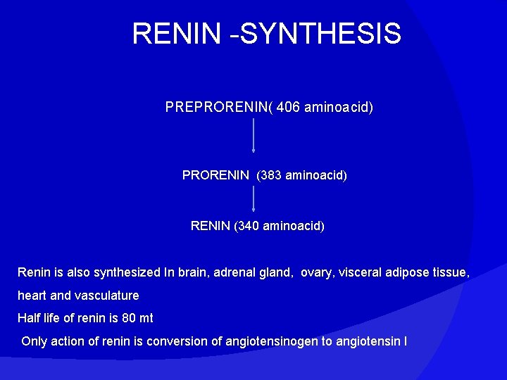 RENIN -SYNTHESIS PREPRORENIN( 406 aminoacid) PRORENIN (383 aminoacid) RENIN (340 aminoacid) Renin is also