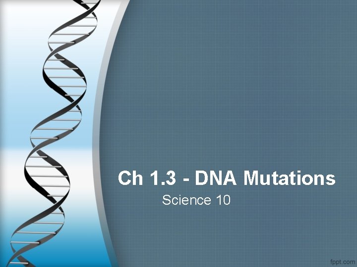 Ch 1 3 DNA Mutations Science 10 DNA