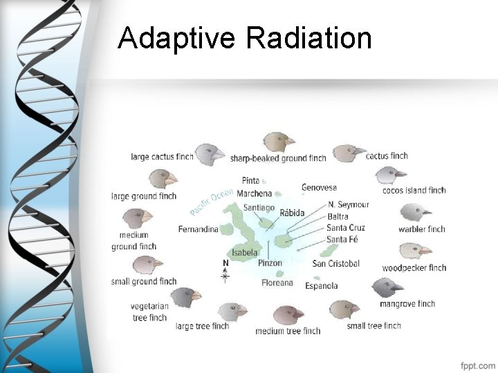 Ch 1 3 DNA Mutations Science 10 DNA