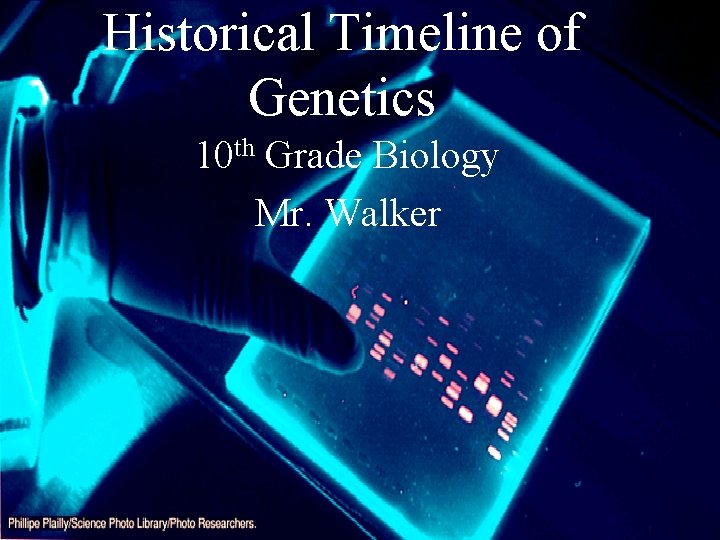 Historical Timeline of Genetics 10 th Grade Biology Mr. Walker 