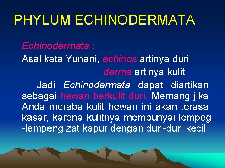 PHYLUM ECHINODERMATA Echinodermata : Asal kata Yunani, echinos artinya duri derma artinya kulit Jadi