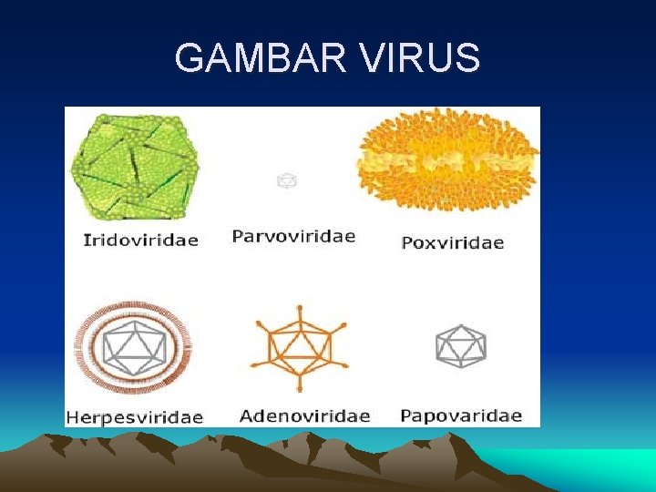 GAMBAR VIRUS GAMBAR VIRUS
