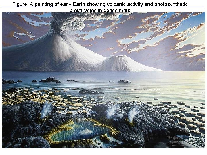 Figure A painting of early Earth showing volcanic activity and photosynthetic prokaryotes in dense