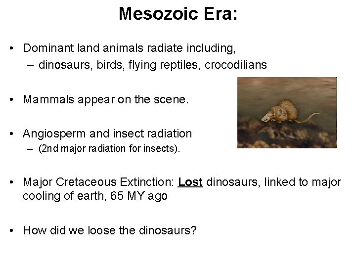 Mesozoic Era: • Dominant land animals radiate including, – dinosaurs, birds, flying reptiles, crocodilians
