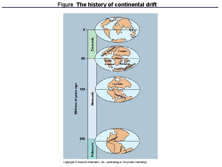 Figure The history of continental drift 