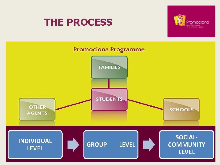 THE PROCESS INDIVIDUAL LEVEL GROUP LEVEL SOCIALCOMMUNITY LEVEL 