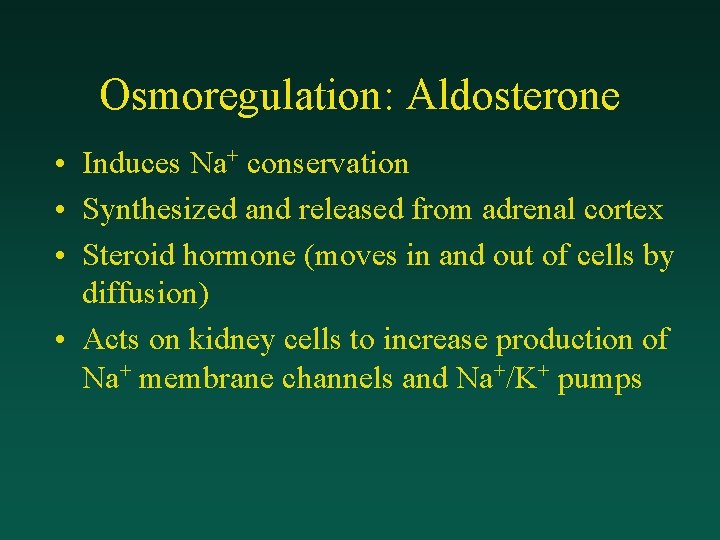 Osmoregulation: Aldosterone • Induces Na+ conservation • Synthesized and released from adrenal cortex •