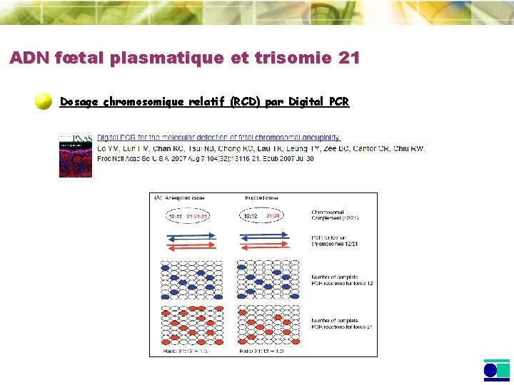 ADN fœtal plasmatique et trisomie 21 Dosage chromosomique relatif (RCD) par Digital PCR 