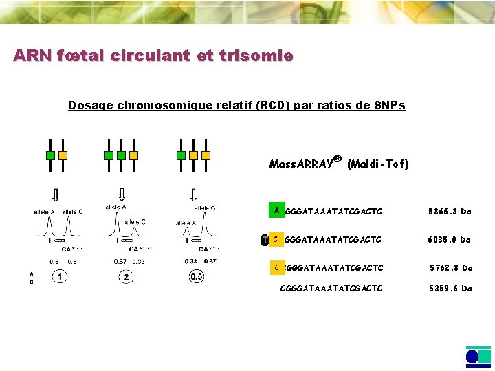 ARN fœtal circulant et trisomie Dosage chromosomique relatif (RCD) par ratios de SNPs Mass.