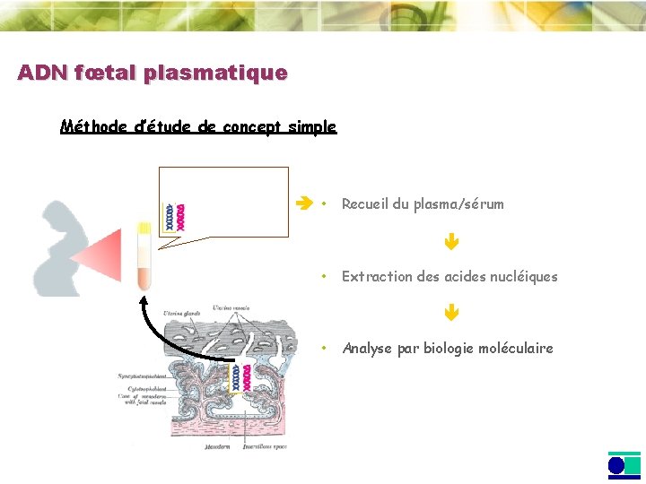 ADN fœtal plasmatique Méthode d’étude de concept simple • Recueil du plasma/sérum • Extraction