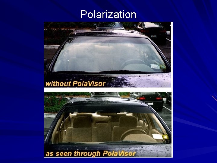 Polarization 