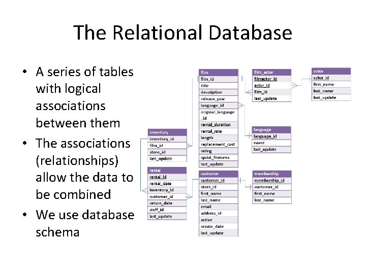 The Relational Database • A series of tables with logical associations between them •