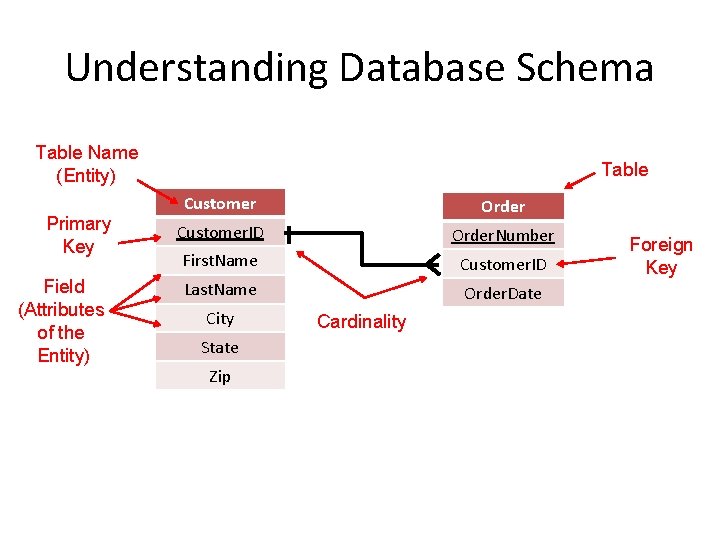 Understanding Database Schema Table Name (Entity) Primary Key Field (Attributes of the Entity) Table