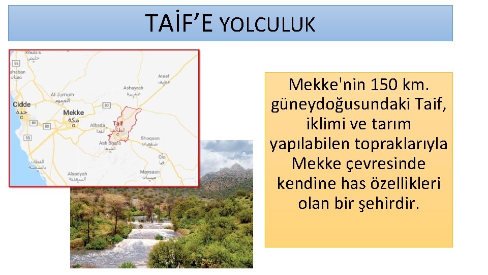 TAİF’E YOLCULUK Mekke'nin 150 km. güneydoğusundaki Taif, iklimi ve tarım yapılabilen topraklarıyla Mekke çevresinde