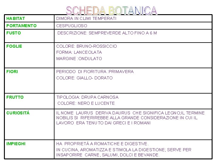 HABITAT DIMORA IN CLIMI TEMPERATI PORTAMENTO CESPUGLIOSO FUSTO DESCRIZIONE: SEMPREVERDE ALTO FINO A 6