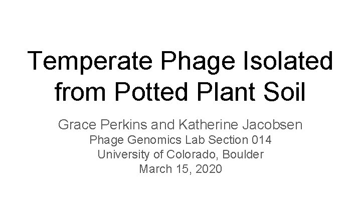 Temperate Phage Isolated from Potted Plant Soil Grace Perkins and Katherine Jacobsen Phage Genomics