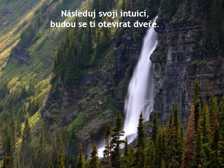 Následuj svoji intuici, budou se ti otevírat dveře. 