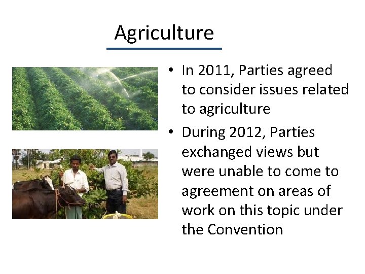 Agriculture • In 2011, Parties agreed to consider issues related to agriculture • During