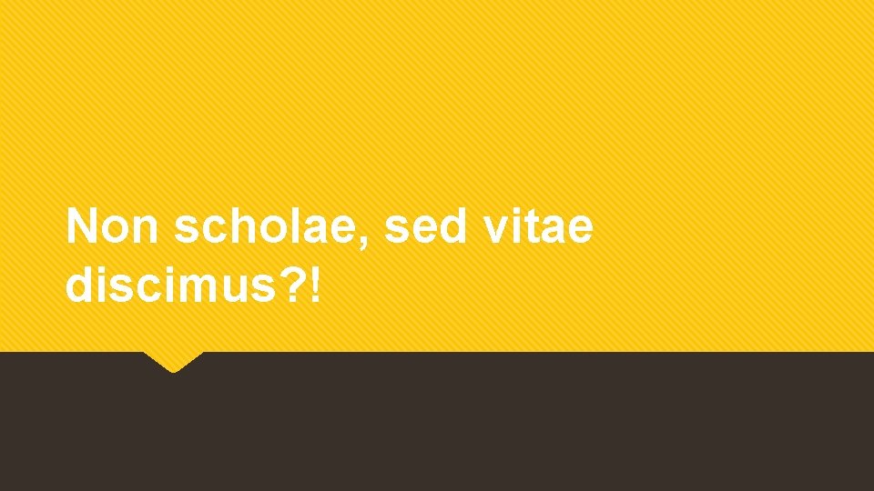 Non scholae, sed vitae discimus? ! 