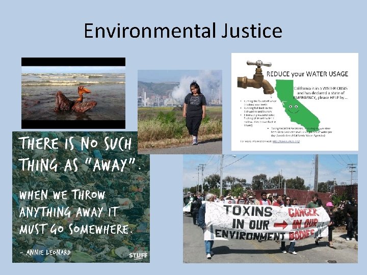 Environmental Justice 