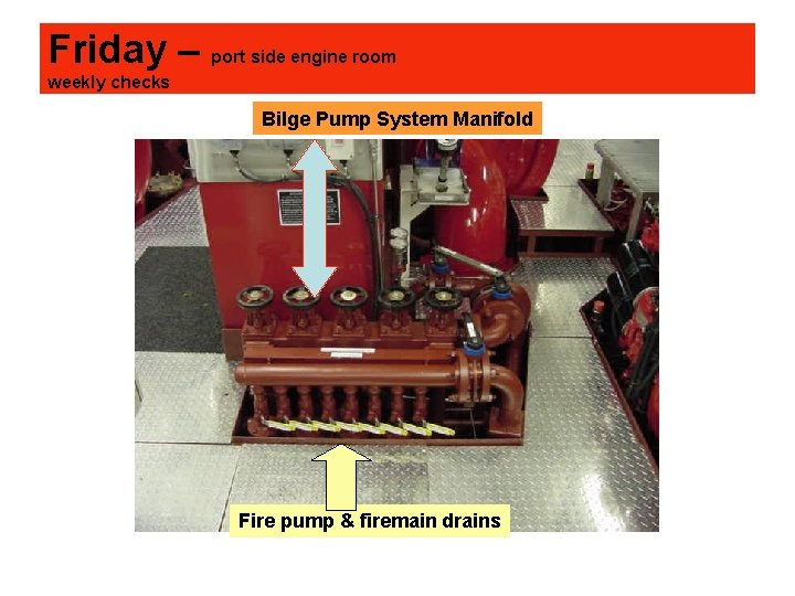 Friday – port side engine room weekly checks Bilge Pump System Manifold Fire pump