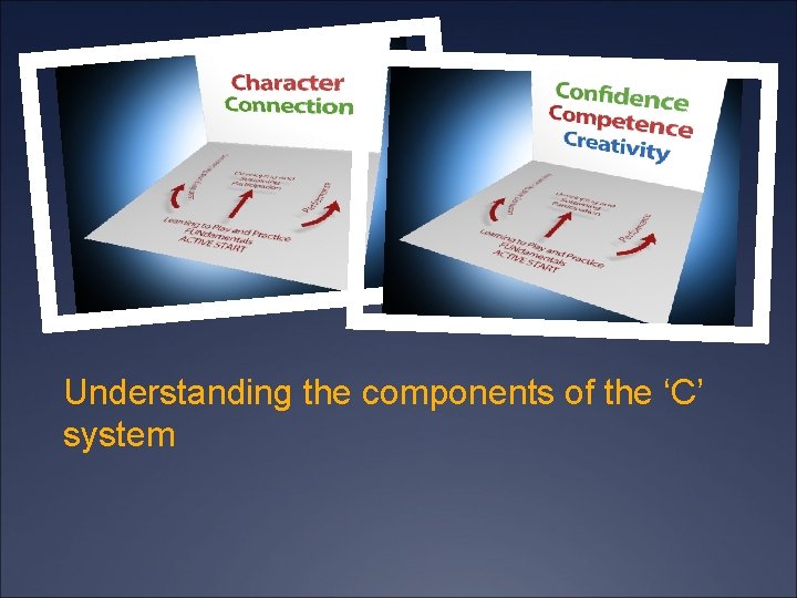 Understanding the components of the ‘C’ system 