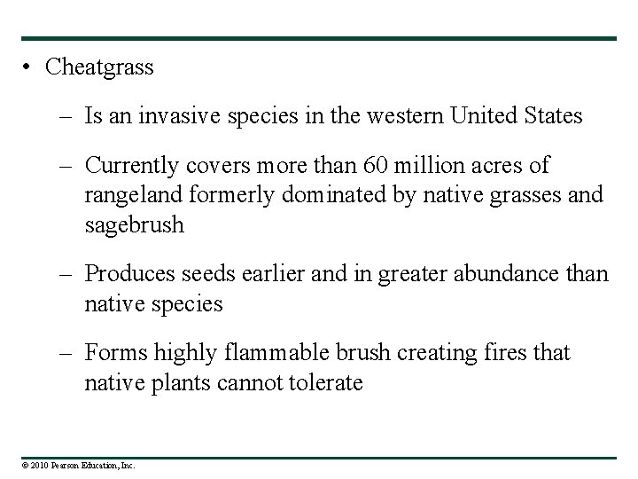  • Cheatgrass – Is an invasive species in the western United States –