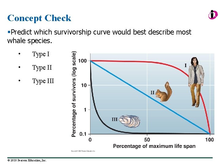 Concept Check §Predict which survivorship curve would best describe most whale species. • Type