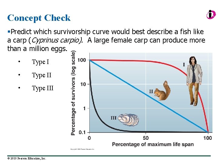 Concept Check §Predict which survivorship curve would best describe a fish like a carp