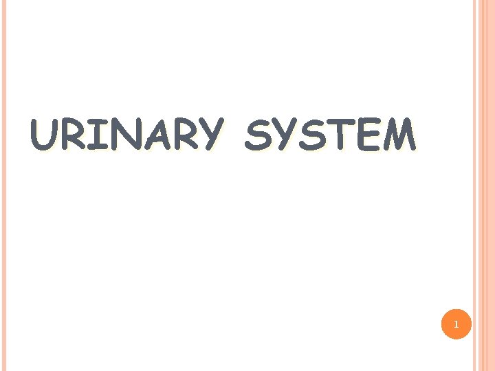 URINARY SYSTEM 1 FUNCTION Filters the blood to